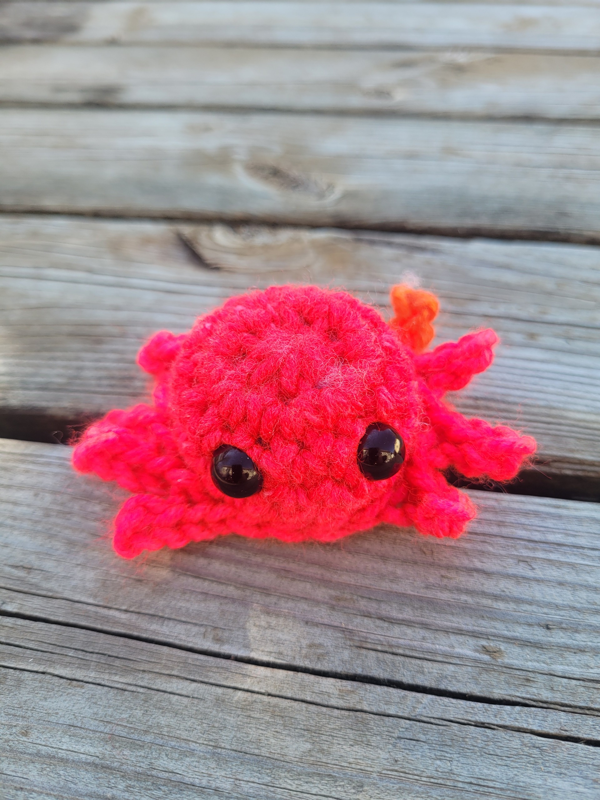 araignée loane - amigurumie