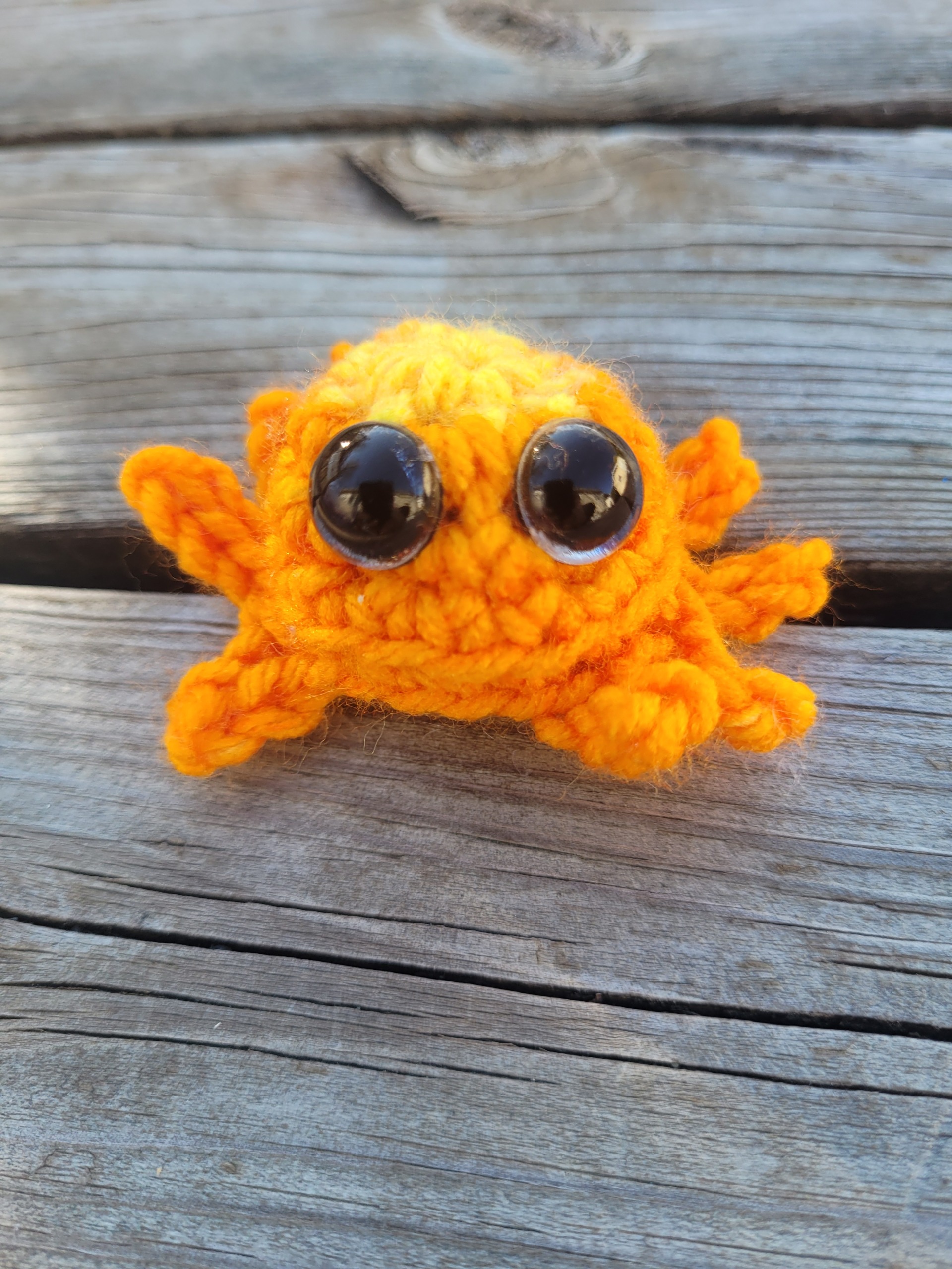 araignée cléments - amigurumie