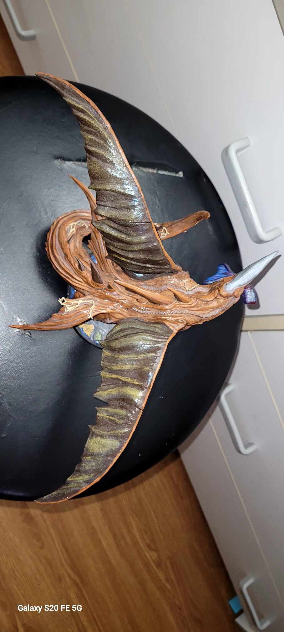 dragon-requin