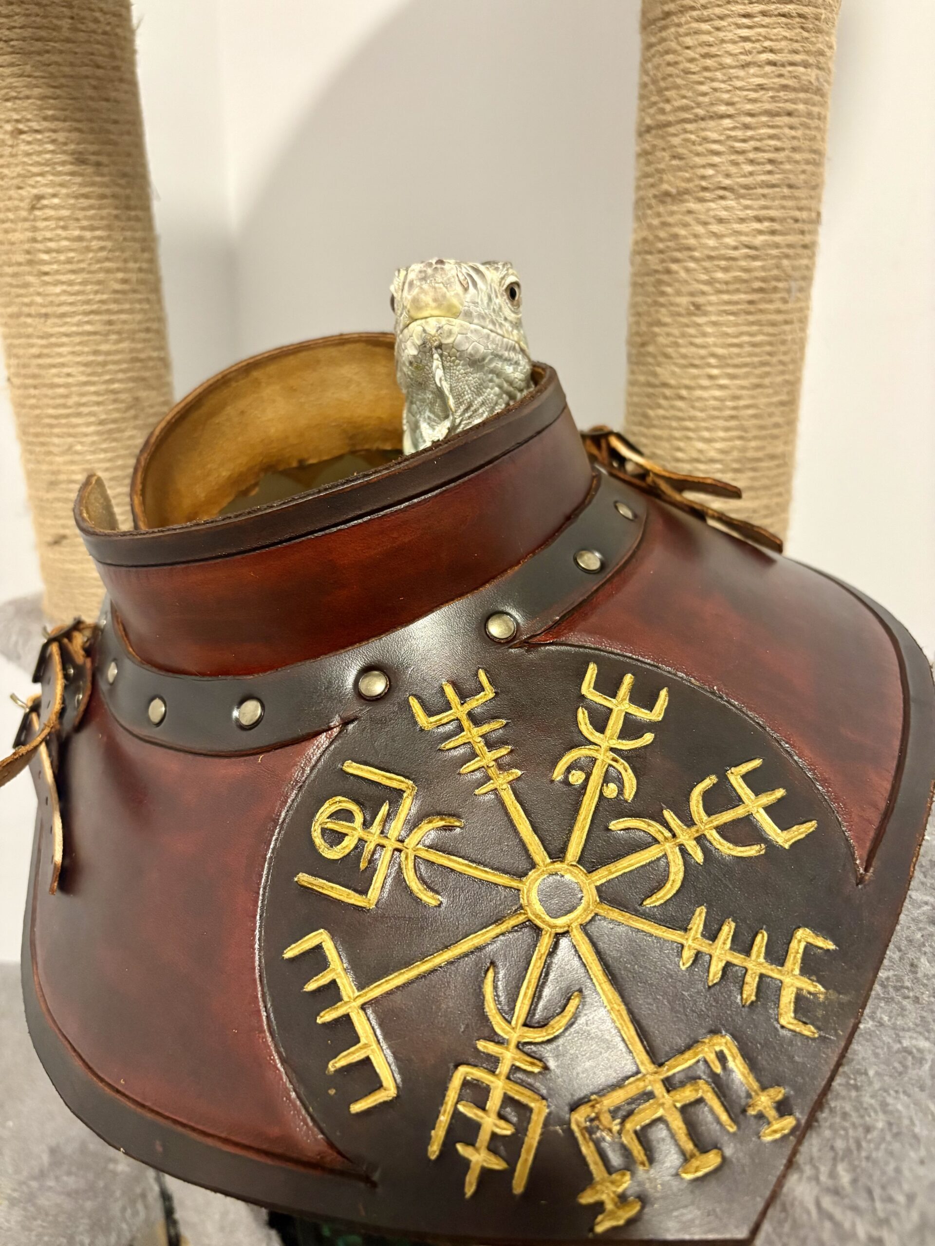Gorget